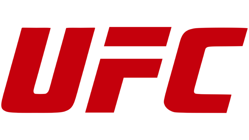 Conheça alguns recordes do UFC